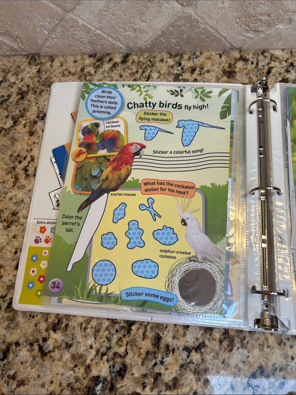 National Geographic Sticker Book - Picture 8 of 16